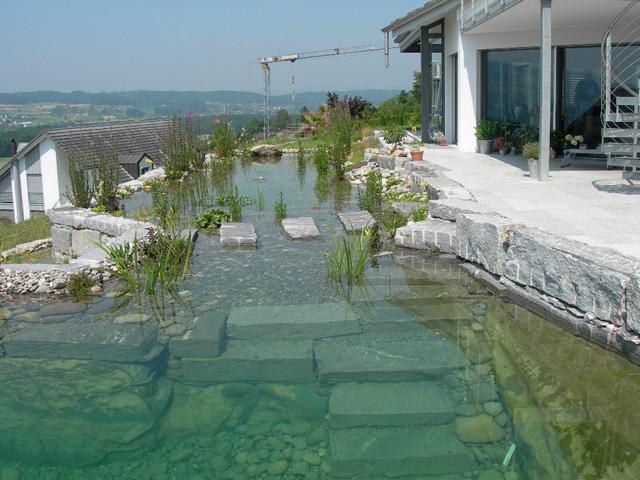 Naturpool natürlich